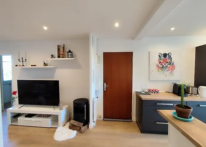 Le Repere Du Galant Billere